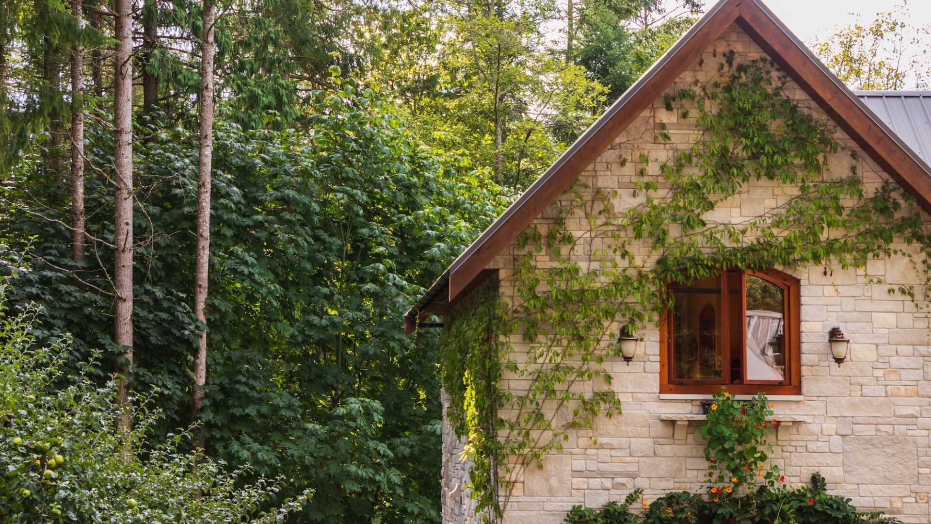 A beautiful cottage with white bricks and wooden accents, with bright green wines growing across its front and surrounded by vibrant forests on a sunny day, perfect for a vacation rental business. Gain your competitive edge for your hospitality business with Duchaine Hospitality Services.