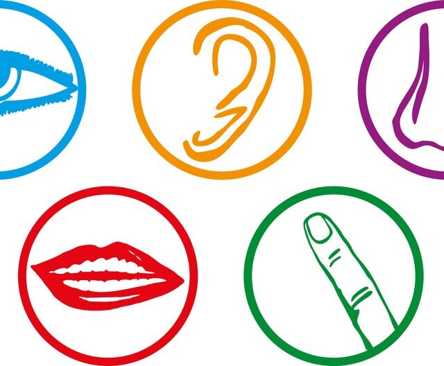 Five senses graphic - Sight, Taste, Hearing, Touch, and Smell.