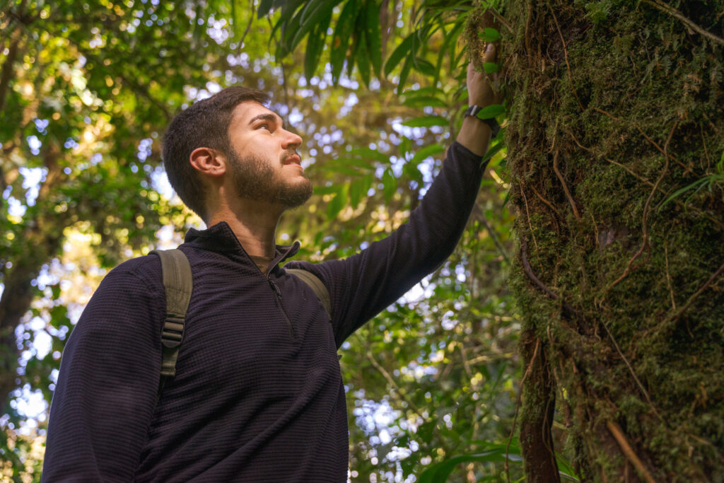 Man touching a tree.