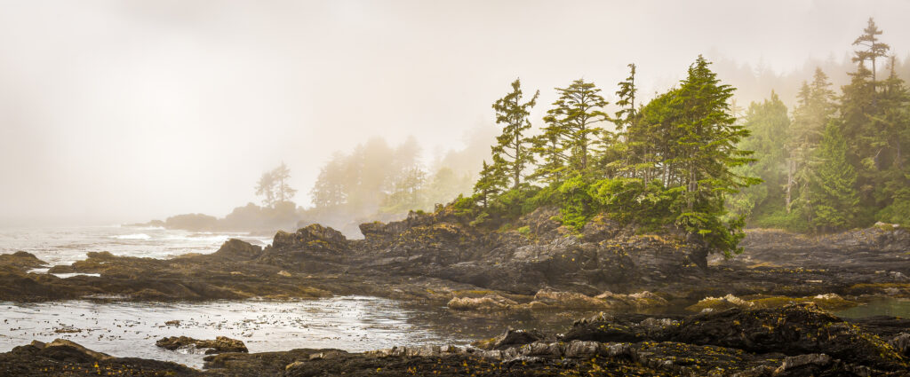 Misty shoreline of Botany Bay on west coast of Vancouver Island, British Columbia, Canada, with sun beginning to beak through the fog.